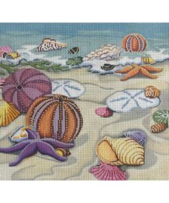 Seashells on shore