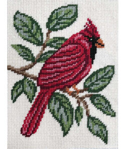 Cardinal