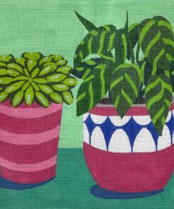 Two Potted Plants