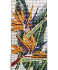 Birds of Paradise Eyeglass