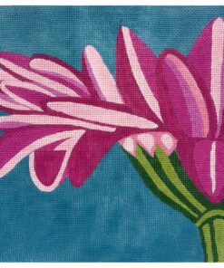 Pink Gerber Daisy