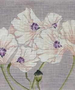 Purple Poppies