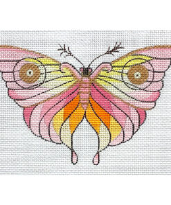 Colorful Moth