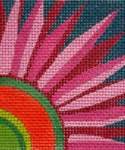 Pink Gerber Daisy