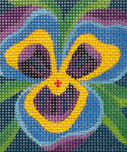 Purple Pansy