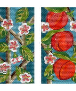 Peach Eyeglass