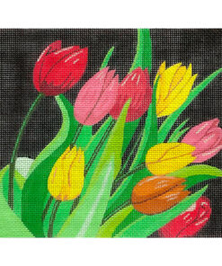 Tulips On Black