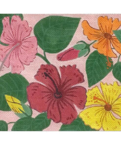 Hibiscus On Pink