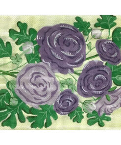 Purple Ranunculus
