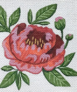 Single Red Peony