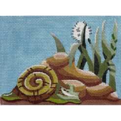 Snail